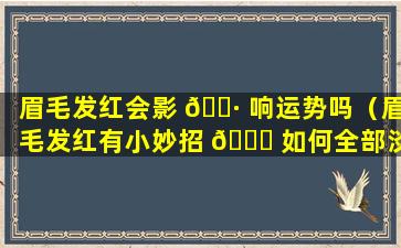 眉毛发红会影 🌷 响运势吗（眉毛发红有小妙招 🐞 如何全部淡化掉）